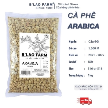 Cà phê nhân xanh Arabica Cầu Đất B'LAO FARM